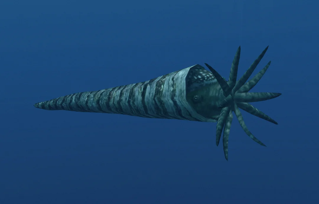 Giant Orthocone