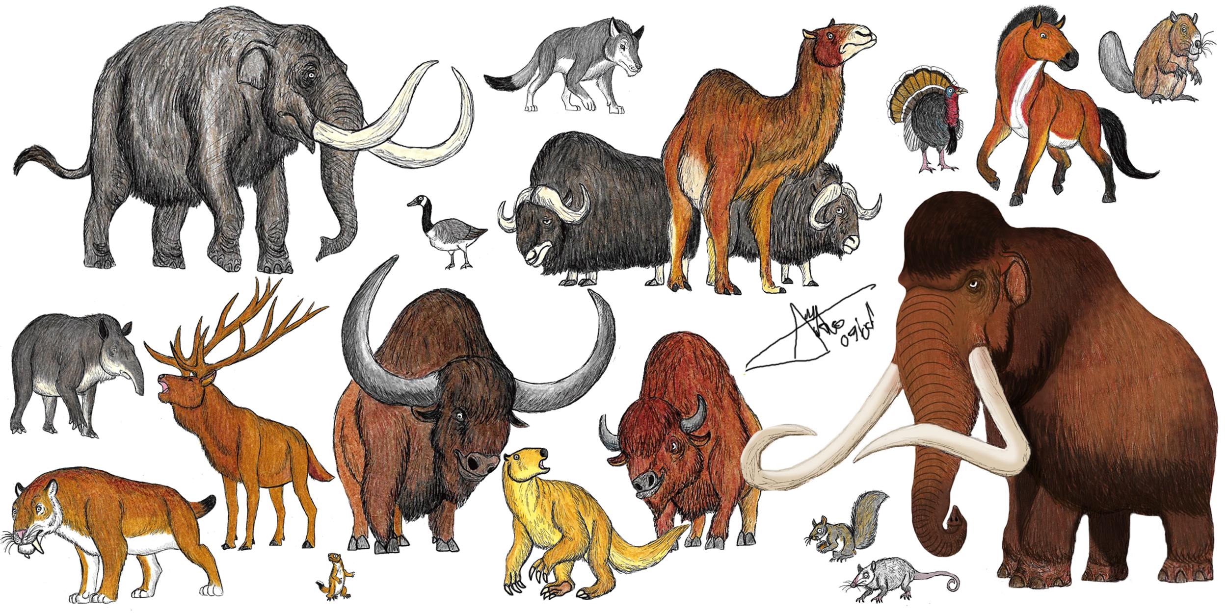 Extinct animals collage