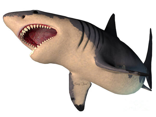 Megalodon Adaptations