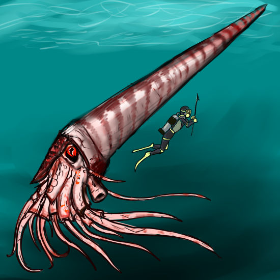 Giant Orthocone Adaptations