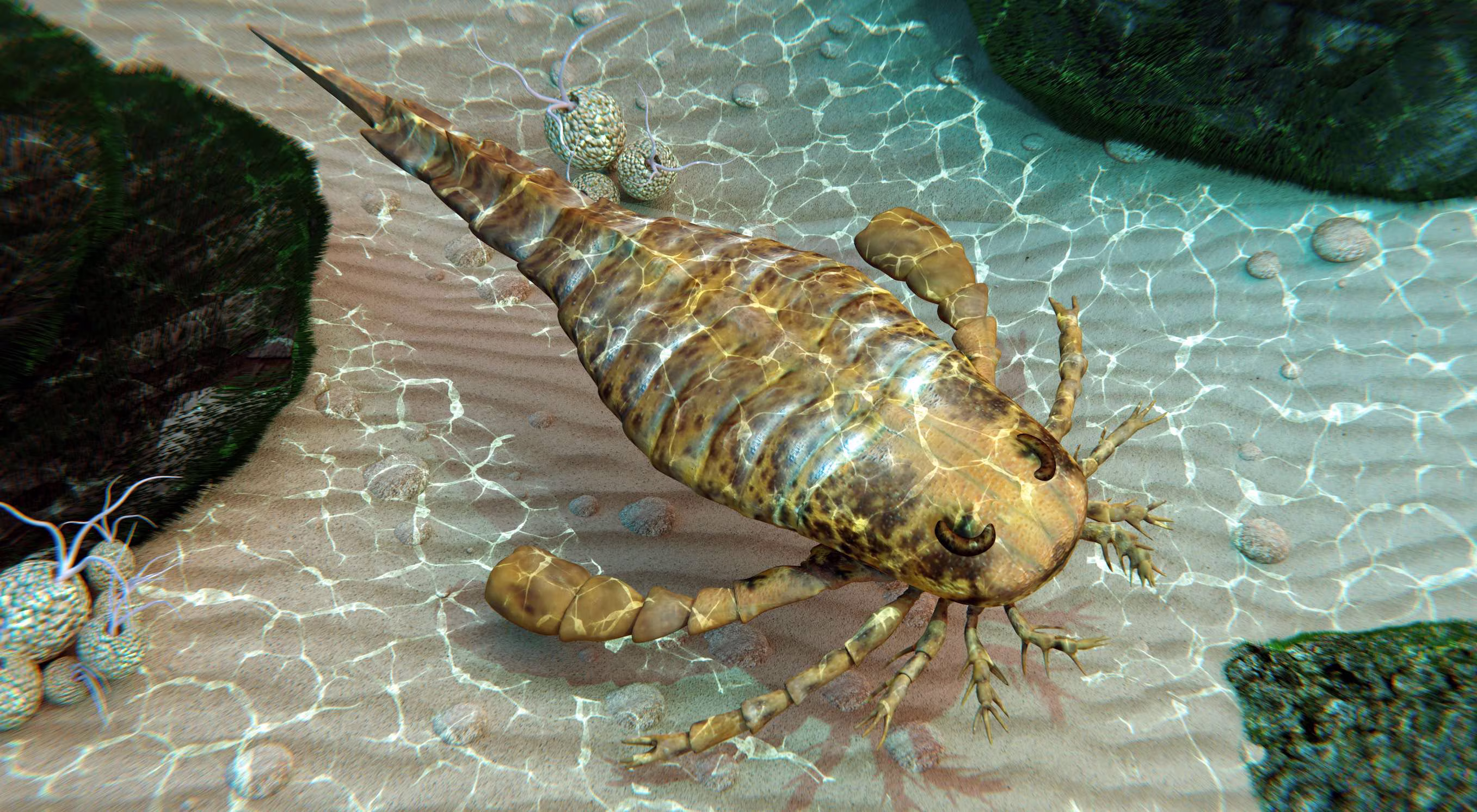 Giant Sea Scorpion Adaptations